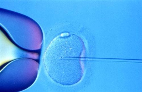 人类胚胎基因编辑实验