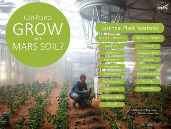 NASA称火星上可种植农作物